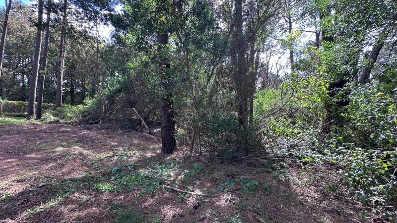 Lote en venta en La Reserva de Montoya
